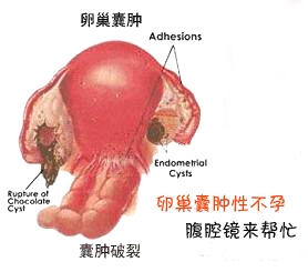 杨陵西宝妇产医院