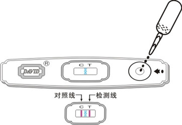 怀孕,怀孕多久能测出来