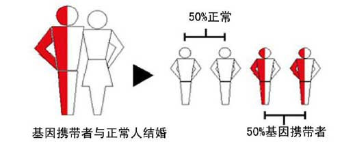 杨陵孕妈妈咨询：做地贫血筛查有问题能把孩子生下来吗