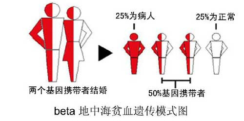 杨陵孕妈妈咨询：做地贫血筛查有问题能把孩子生下来吗